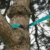 Ninja Slackline