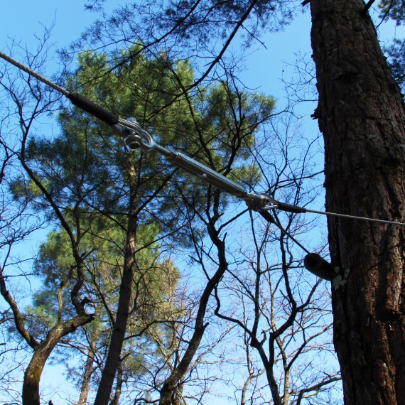 Cable élingue pour arbre