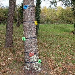 Prises d'escalade pour arbres