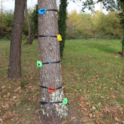 Prises d'escalade pour arbres Prises d'escalade pour arbres