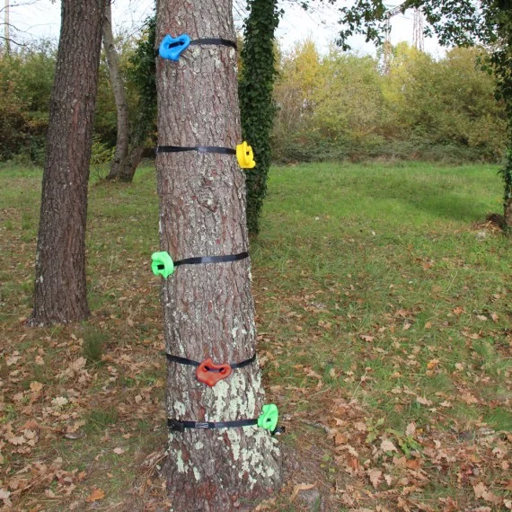 Prises d'escalade pour arbres
