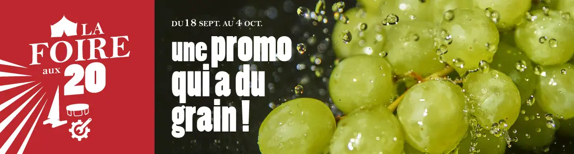 Foire aux 20
