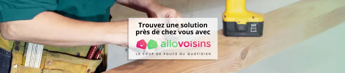 allovoisins.com