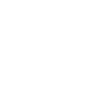 Icone validation 