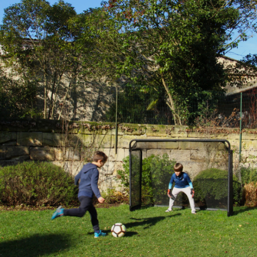 Transformez Votre Jardin en Terrain de Champions ! 