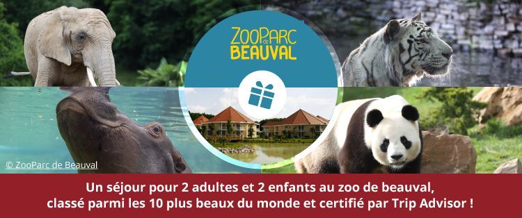 Un séjour familiale au zoo de Beauval !